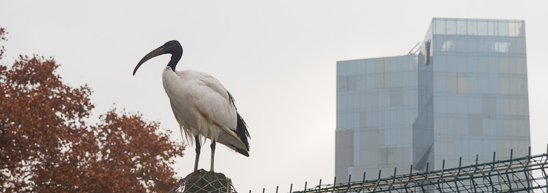 zoo_visita_colegio_ingeniería_telecomunicación_barcelona